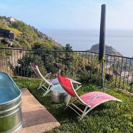 Quinta Terezinha Villa Ribeira Brava Exteriör bild