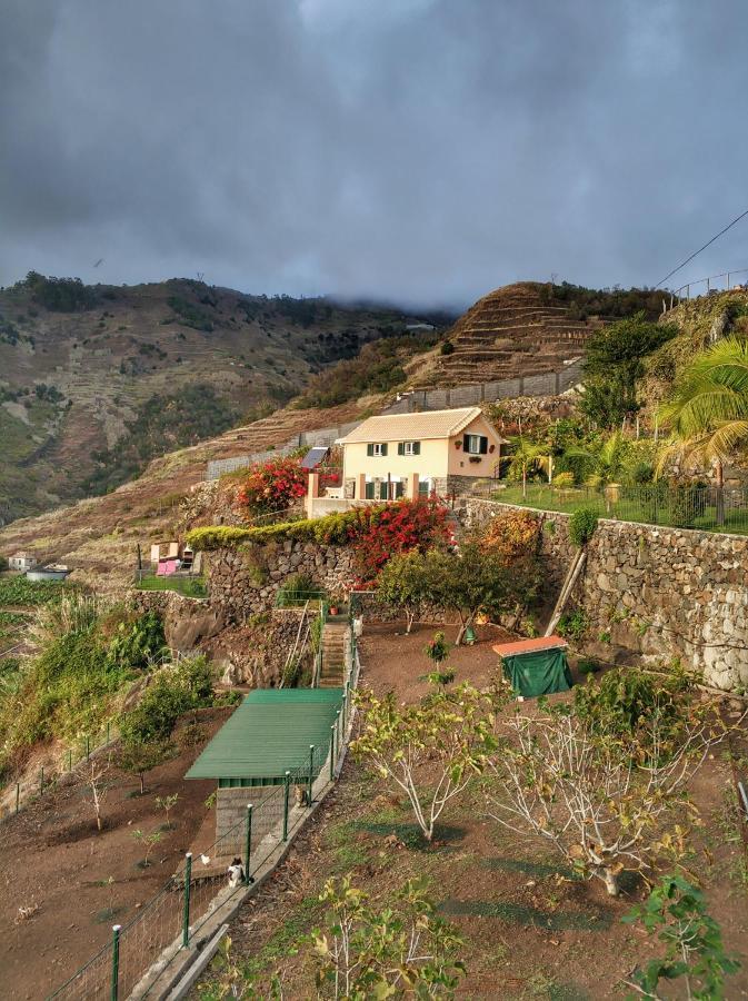 Quinta Terezinha Villa Ribeira Brava Exteriör bild