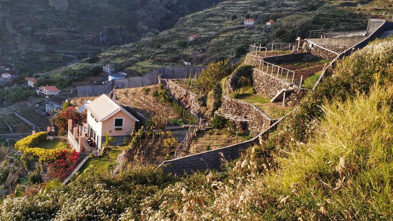 Quinta Terezinha Villa Ribeira Brava Exteriör bild